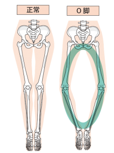 U2インソール公式販売代理店 株式会社riki