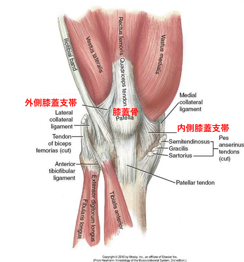 膝の前面の痛み 膝蓋大腿関節症候群と扁平足の関係とは