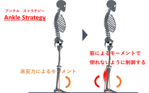 足の裏のしこり 足底線維腫の原因と対策とは